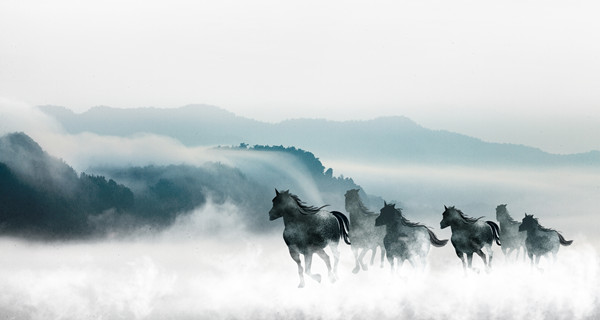 企業(yè)戰(zhàn)略規(guī)劃：為企業(yè)制定全面、長遠的發(fā)展戰(zhàn)略