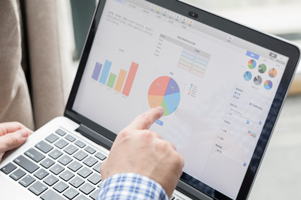 預(yù)算控制咨詢：協(xié)助企業(yè)建立控制體系，確保預(yù)算執(zhí)行