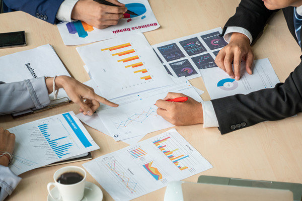 集團管控：構(gòu)建一體化管理體系，引領(lǐng)企業(yè)走向卓越