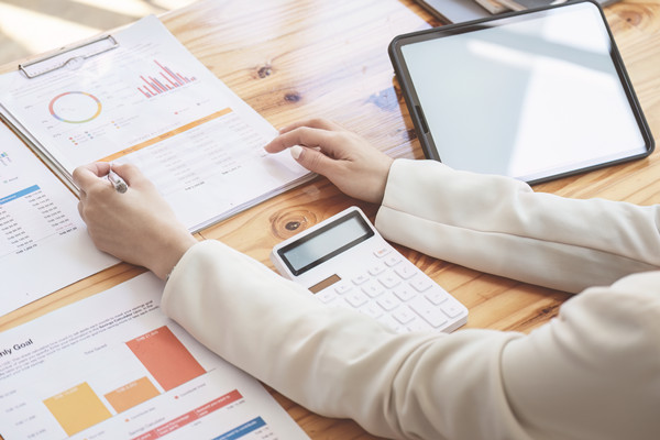 年度風(fēng)險(xiǎn)防控計(jì)劃：風(fēng)險(xiǎn)防范，穩(wěn)健前行