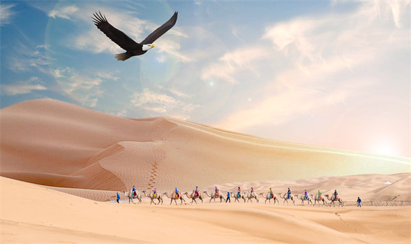 集團(tuán)管控升級(jí)迭代，激發(fā)企業(yè)活力，實(shí)現(xiàn)持續(xù)領(lǐng)先