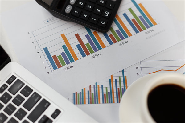 預(yù)算管理信息化建設(shè)：提升管理效率，降低管理成本