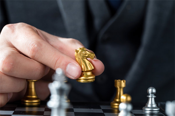 戰(zhàn)略咨詢，揭秘成功密碼，引領企業(yè)從優(yōu)秀走向卓越