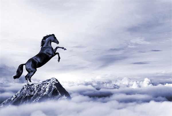 深度整合企業(yè)戰(zhàn)略資源，構建高效運營管理體系