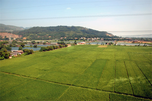 管理咨詢如何助力清遠企業(yè)解決發(fā)展難題？