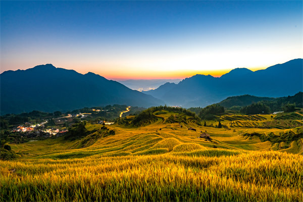 定制化管理咨詢方案：麗水企業(yè)轉(zhuǎn)型升級的鑰匙？