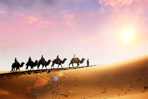 企業(yè)文化在人力資源管理中，扮演著怎樣的角色？