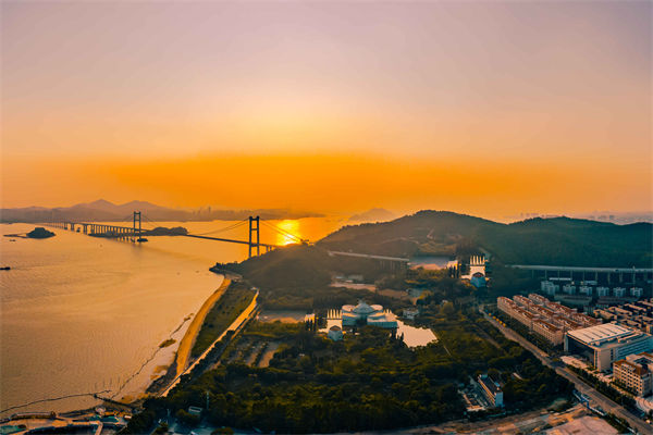 東莞供應(yīng)鏈咨詢公司如何優(yōu)化企業(yè)供應(yīng)鏈流程？