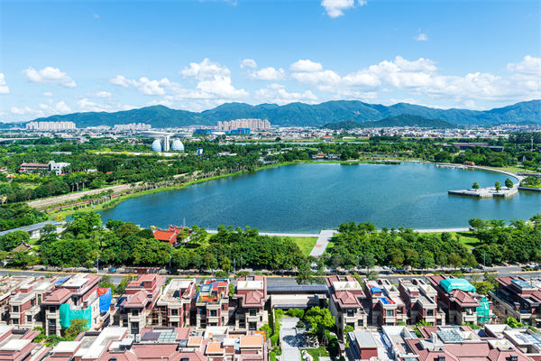 漳州戰(zhàn)略咨詢公司如何為企業(yè)定制長遠發(fā)展藍圖？