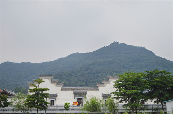 佛山組織規(guī)劃咨詢公司如何優(yōu)化企業(yè)人才梯隊建設(shè)？