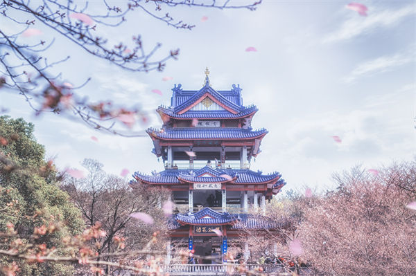 供應鏈成本居高不下，無錫供應鏈咨詢公司如何精準砍出利潤空間？