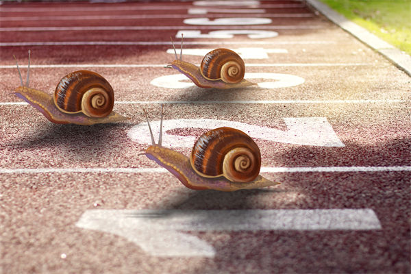 新業(yè)務(wù)拓展艱難，年度經(jīng)營計劃為其定制專屬發(fā)展路徑