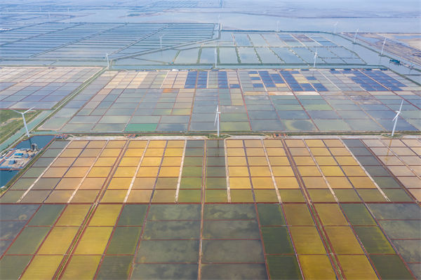 濰坊制造業(yè)招工難留人更難，濰坊人力資源咨詢公司如何破局用工困局？