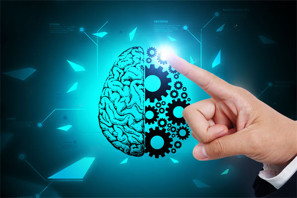 人力資源管理流程規(guī)范嚴(yán)謹(jǐn)，員工創(chuàng)造力為何反而受抑制？