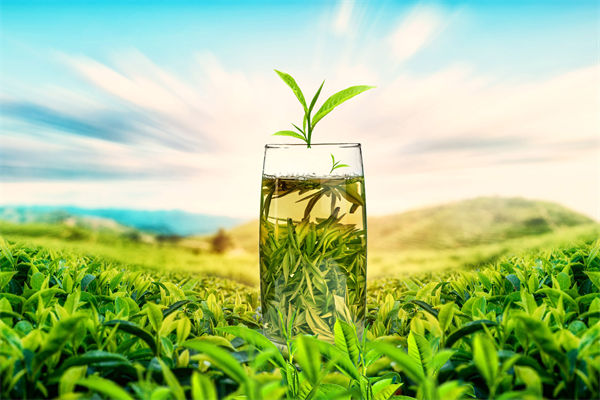 供應(yīng)鏈管理分析：多個奶茶品牌回應(yīng)檢出反式脂肪酸