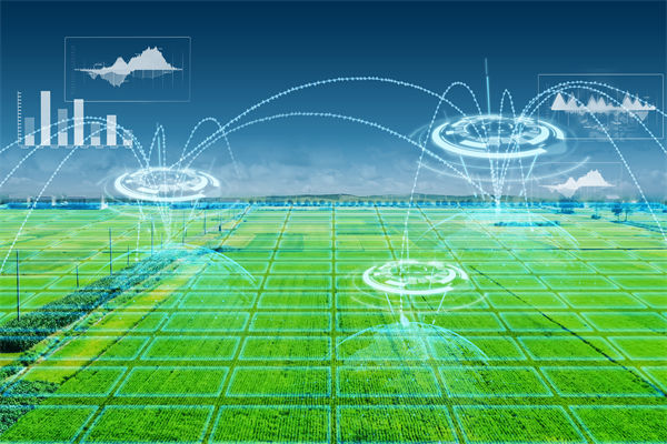 溫州種出2.1米高巨型水稻，精益生產(chǎn)怎么看？