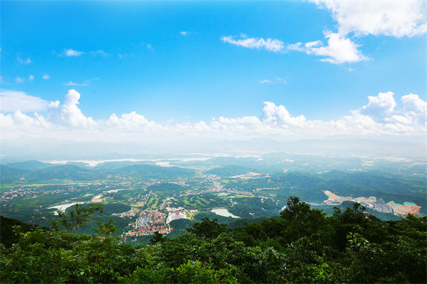 企業(yè)戰(zhàn)略飄在半空落地難，惠州戰(zhàn)略咨詢公司能錨定方向嗎？