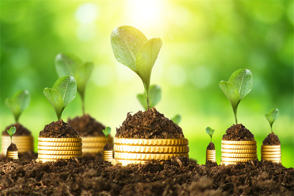 預(yù)算管理咨詢公司如何幫助企業(yè)破解資金錯配問題？