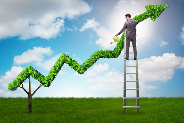 哪個戰(zhàn)略咨詢公司口碑最好，能精準定企業(yè)長效發(fā)展戰(zhàn)略？